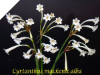 Cyrtanthus Mackenii Cream